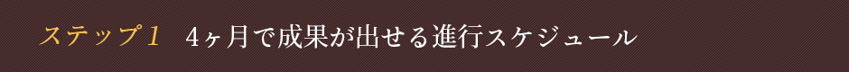 ステップ1 4か月で成果が出せる進行スケジュール